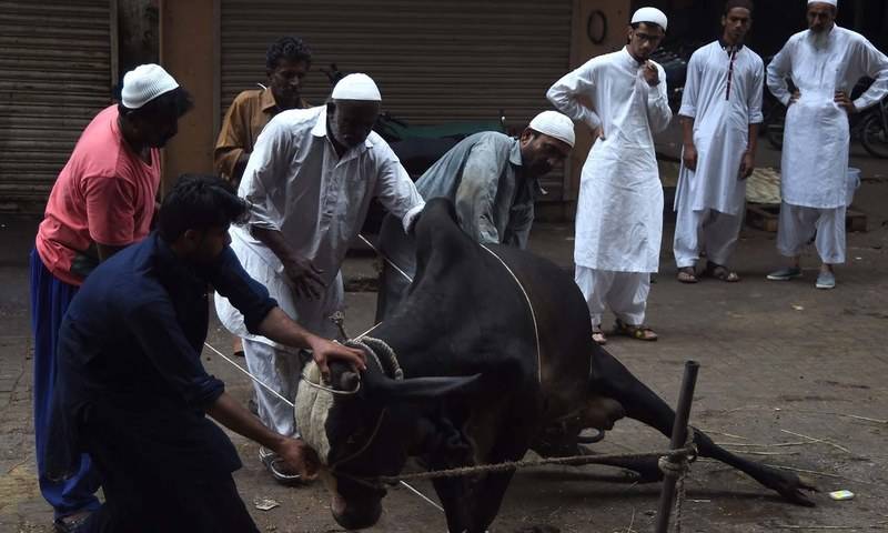 عیدالاضحیٰ پر پیشہ ور قصاب ملنا مشکل ہوگیا، زیادہ معاوضے سے شہری پریشان