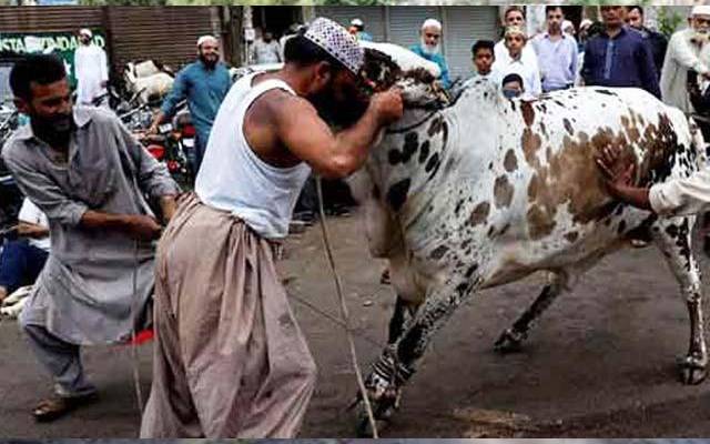 میٹ مرچنٹس ایسوسی ایشن کے جانور ذبح کرنے کے ریٹ جاری 