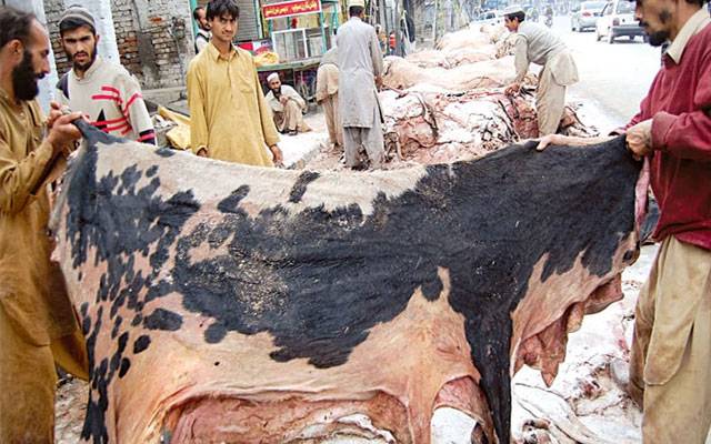 عید پر فلاحی و مذہبی اداروں کی کھالیں جمع کرنے کی سرگرمیاں تیز