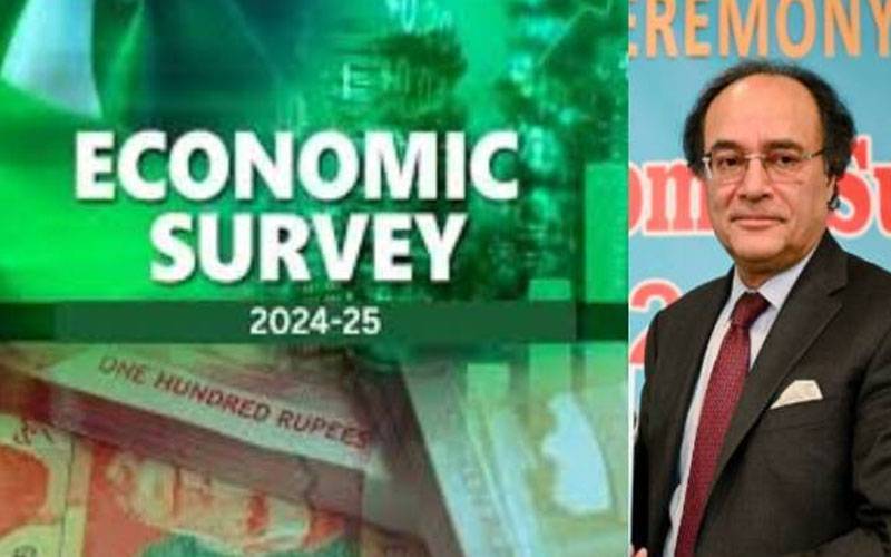 وزیر خزانہ آج اقتصادی سروے پیش کریں گے