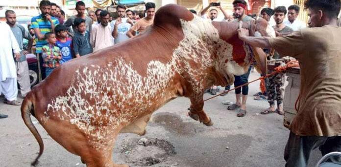 عیدالاضحیٰ کا تیسرا روز، جانوروں کی قربانی کا سلسلہ جاری