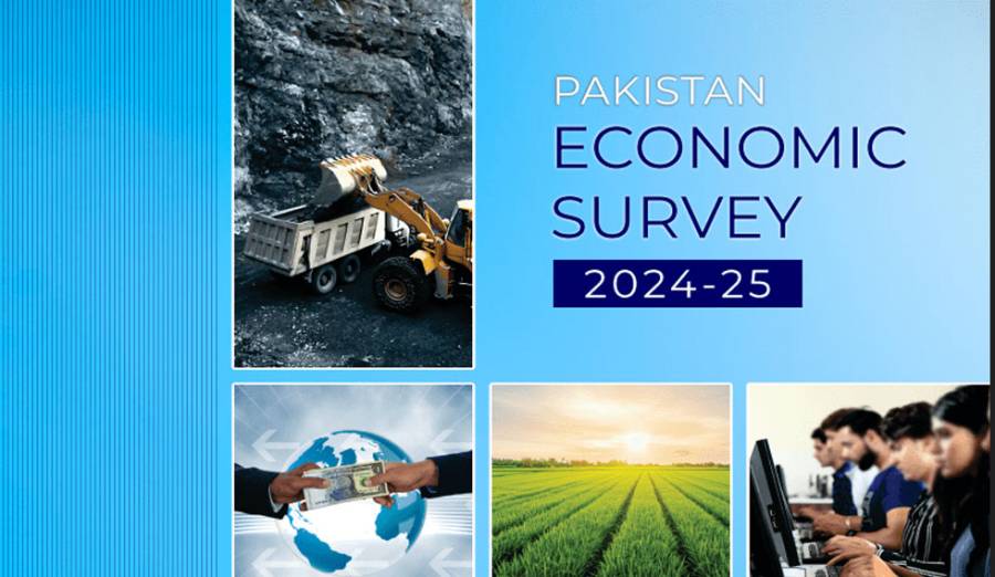 Economic Survey of Pakistan 
