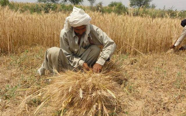 وزیر خزانہ نے کسانوں کو بڑی خوشخبری سنادی