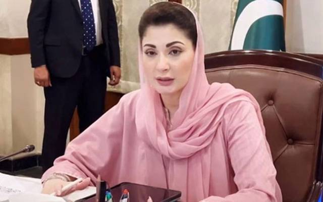 البینزم کا شکار افراد خوبصورتی کا روشن پہلو ہیں: مریم نواز