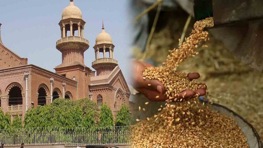  گندم کی قیمت مقرر نہ کرنے کے متعلق درخواست17 جون کو سماعت کیلئے مقرر