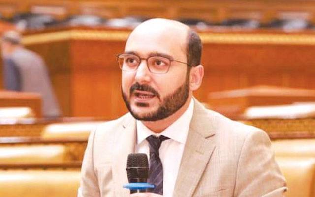  پنجاب بجٹ : پیپلز پارٹی سے مشاورت نہیں کی گئی، سید علی حیدر گیلانی 