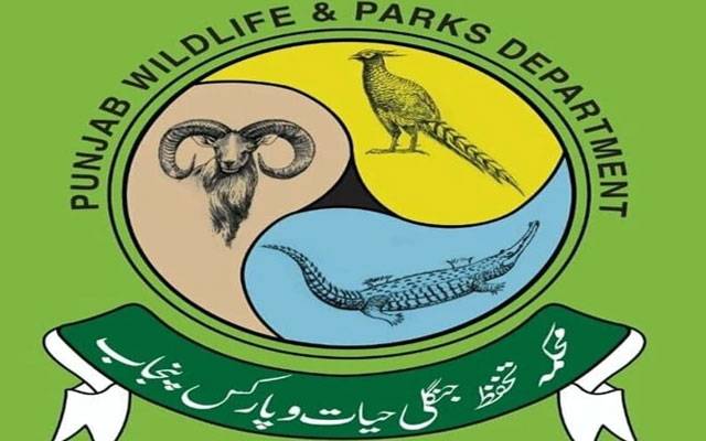 وائلڈ لائف کیلئے 10 ارب روپے کا بجٹ مختص