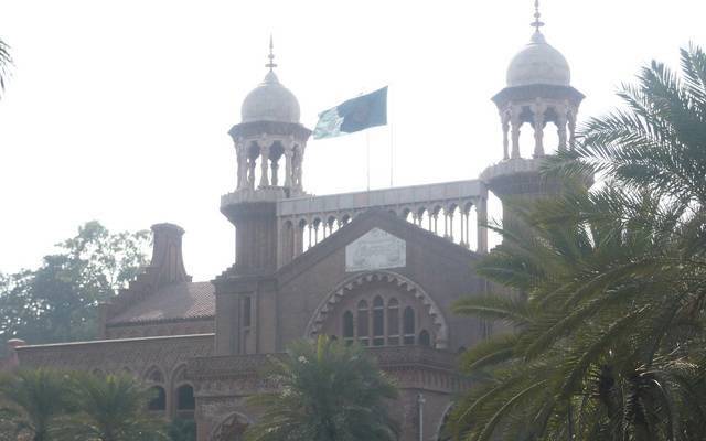  ہائیکورٹ  نے ٹولٹن مارکیٹ سے کتے ، بلیوں کو دوسری جگہ منتقل کرنے کے متعلق تجاویز طلب  کرلیں