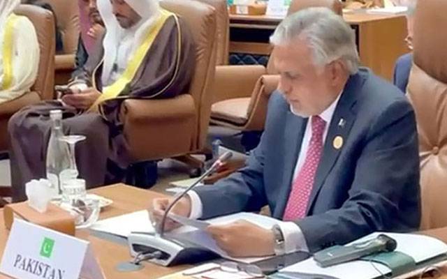 مسلم ممالک فوری طور پر جنگ بندی کا مطالبہ کرتے ہیں؛ اسحاق ڈار 