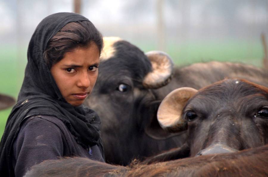  Maryam Nawaz, City42, Social uplift, Women\'s empowerment , Punjab Chief Minister 
