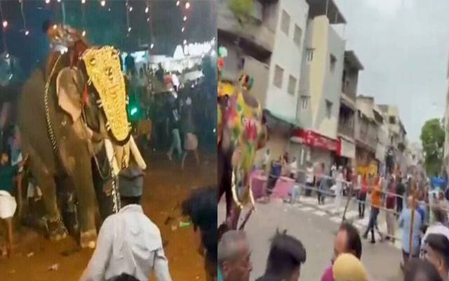 مذہبی تقریب میں ہاتھی بے قابو، ویڈیو وائرل