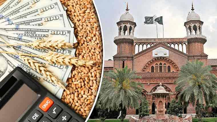 گندم کی قیمت مقرر نہ کرنے کیخلاف درخواست پر فریقین کے وکلا کے دلائل مکمل ہونے پر فیصلہ محفوظ 