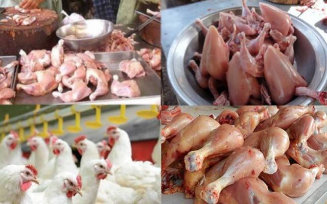 برائلر مرغی کے گوشت کی قیمت میں اضافہ