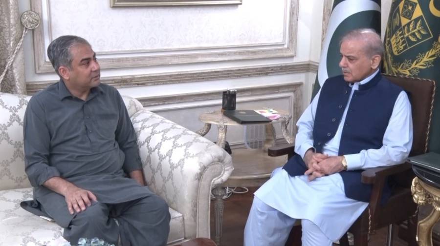 وزیر اعظم سے وفاقی وزیر داخلہ کی ملاقات؛ملک بھر کی سیکورٹی انتظامات پر بریفنگ