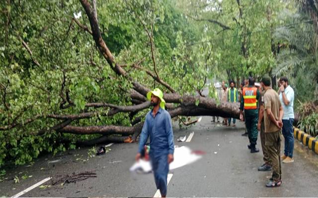 ظفر علی روڈ کے قریب درخت گرنے سے راہگیر جاں بحق