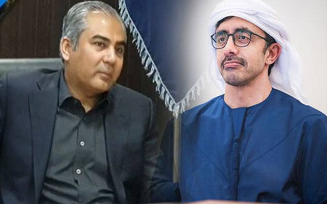  ویزا مسائل، وزیر داخلہ محسن نقوی کی نائب وزیراعظم یو اے ای سے اہم ملاقات 