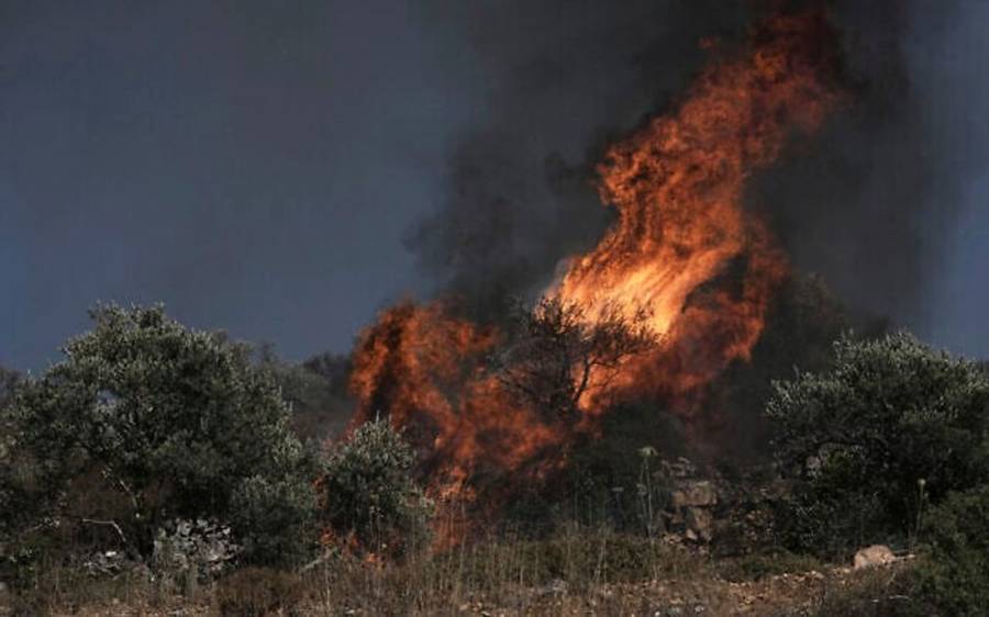 West Bank, Palestine Statements, City42, 