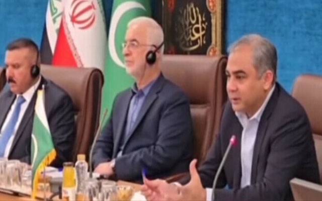 پاکستان نے ایران کی حمایت میں ہر فورم پر آواز اٹھائی؛ محسن نقوی
