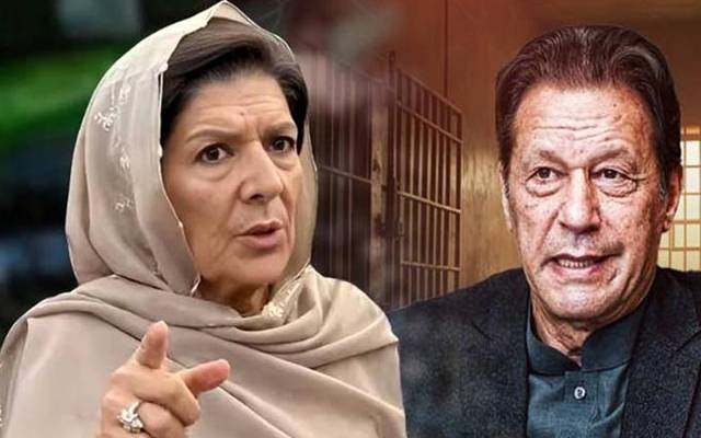 عمران خان کی پارٹی رہنماؤں کو اختلافات ختم کرنے اور احتجاجی تحریک پر توجہ مرکوز کرنے کی ہدایت