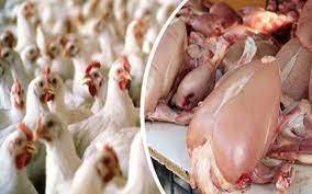 برائلر گوشت کی قیمتیں بے قابو، فی کلو 620 روپے تک فروخت