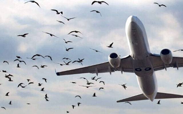 لاہور کے مختلف علاقے نوبرڈزون قرار، بڑی پابندیاں عائد