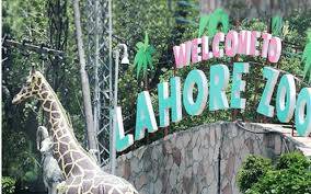 لاہور: چڑیا گھر میں سیاحوں کا رش، ٹکٹ سستا ہونے پر رونقیں بحال