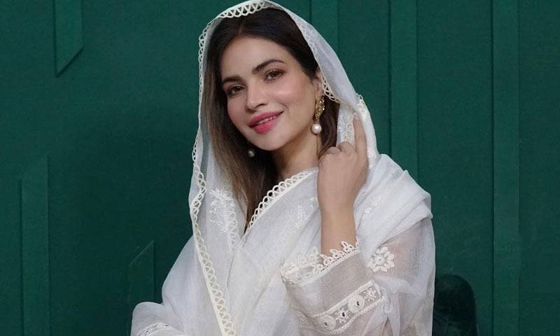 حمیرا اصغر کیس: پولیس نے رپورٹ عدالت میں جمع کرادی