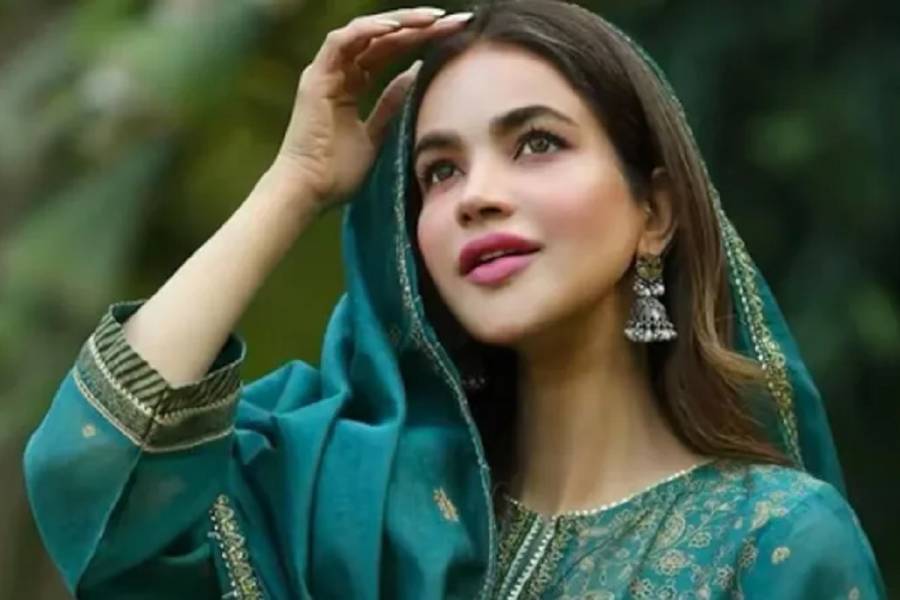 حمیرا کا فلیٹ مالک سے جھگڑا کب اور کیوں شروع ہوا، واجبات کتنے تھے؟ دستاویزات منظر عام پر