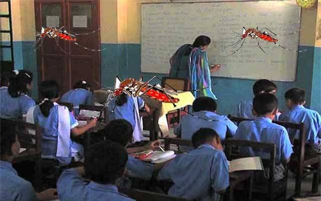 برسات میں ڈینگی کا خطرہ، اسکولوں میں جمع پانی سے وائرس پھیلنے کا خدشہ