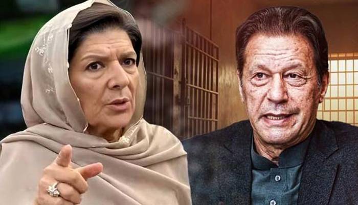 اڈیالہ جیل کےسپرنٹنڈنٹ عمران خان کو تنگ کر تے ہیں، علیمہ خان