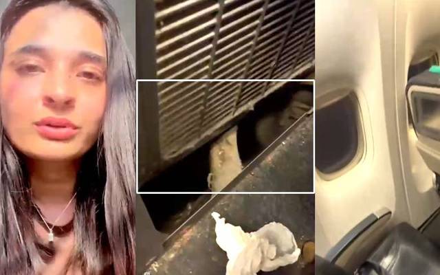 پی آئی اے کی سنگین غفلت، جہاز کی 13 روز تک رسک فلائٹ 
