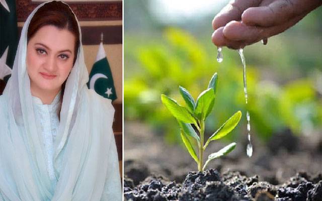 مریم اورنگزیب کا رنگ روڈ پر شجرکاری مہم کا افتتاح