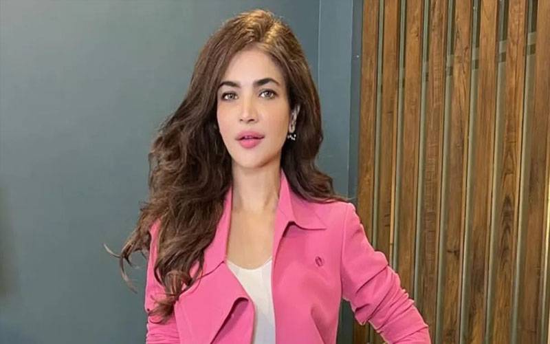 اداکارہ حمیرا اصغر کیس میں نیا انکشاف سامنے آگیا  