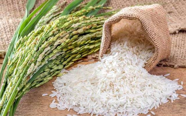 چاول کی پیداوار میں نئی ایجاد سامنے آ گئی
