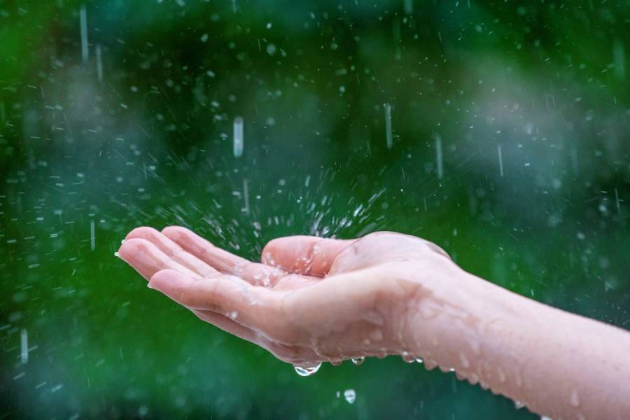 Urban Flood, Lahore weather forecast, Monsoon update, Punjab weather, Met Department Lahore 