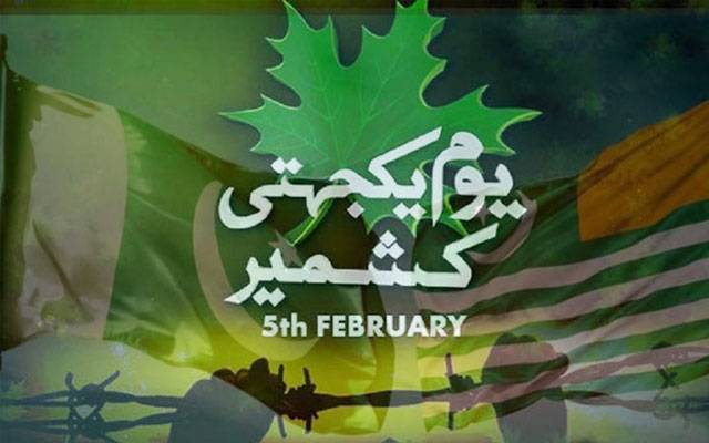  یومِ استحصال: وفاقی وزرا کی بھارتی اقدامات کی مذمت، کشمیری عوام سے اظہارِ یکجہتی