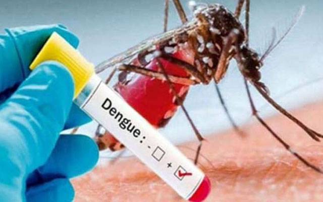 لاہور میں ڈینگی کے مزید دو مریض سامنے آ گئے، کیسز بڑھنے کا خدشہ 