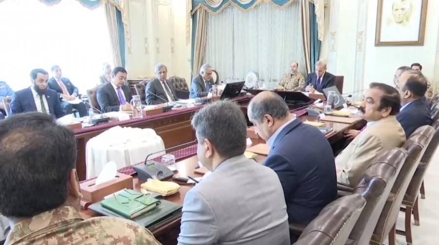 انسداددہشتگردی وریاستی رٹ کاقیام؛وزیرداخلہ محسن نقوی کی سربراہی میں22رکنی اعلی سطح کمیٹی قائم
