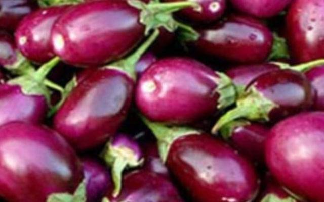  بینگن کے حیران کن فوائد
