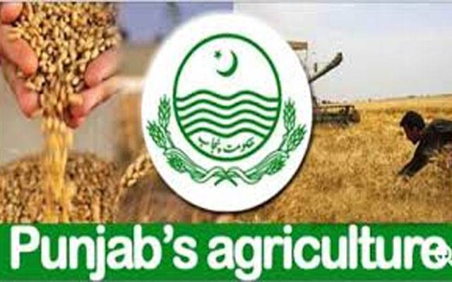  کاشتکاروں کے لیے 100 ارب روپے بلاسود قرض کی تجویز منظور