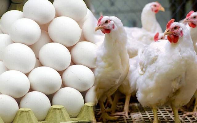 جشن آزادی کی خوشیاں، برائلر گوشت کی نئی قیمت کیا؟