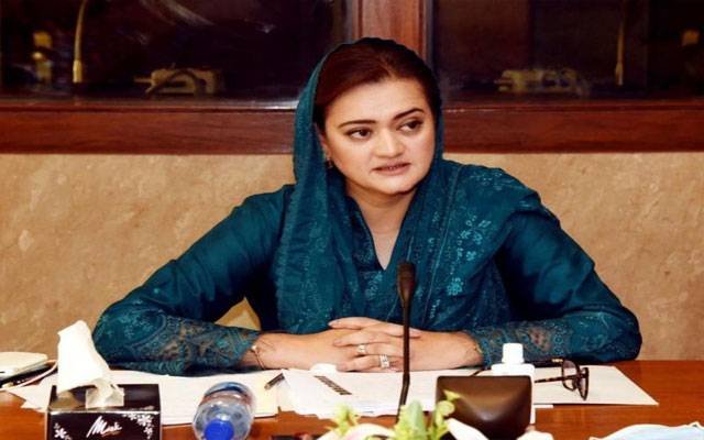  آٹھویں تا دسویں جماعت کی تعطیلات ختم کرنے پر غور، مریم اورنگزیب سے پرائیویٹ اسکول نمائندوں کی ملاقات