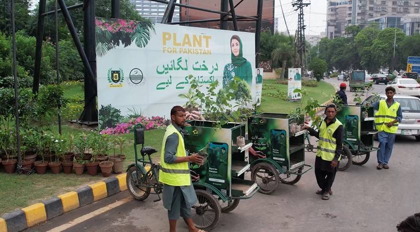 یوم آزادی؛ پی ایچ اے کا مفت پودے تقسیم کرنے کے لیے خصوصی کیمپ