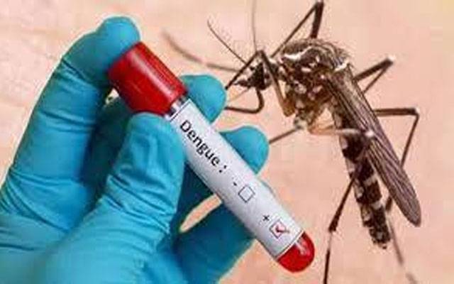 راولپنڈی ڈویژن میں ڈینگی کے 85 کیسز رپورٹ 