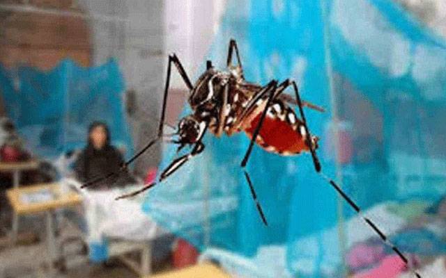 لاہور میں ڈینگی وائرس کا خدشہ برقرار، 6 نئے مریضوں کی تصدیق