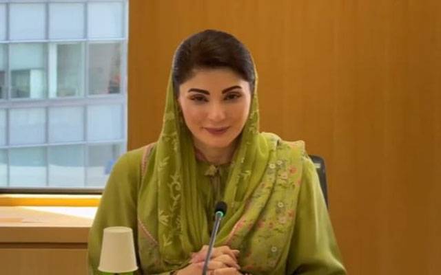 وزیراعلیٰ پنجاب کی جاپان کو ہائبرڈ کاروں کی تیاری میں سرمایہ کاری کی دعوت