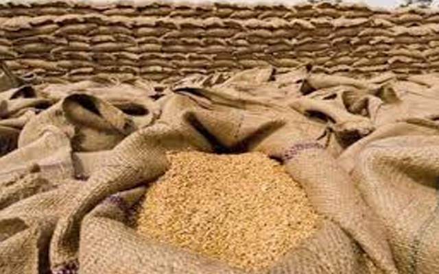  گندم فی من 600 روپے مہنگی ؛ روٹی کی قیمت میں اضافے کا امکان