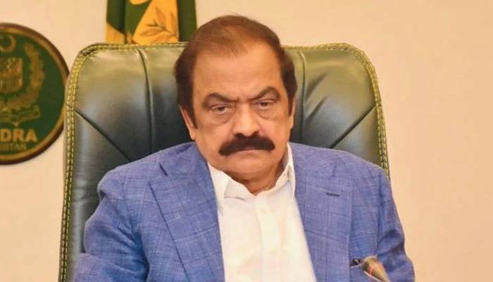 سینیٹ ضمنی الیکشن :رانا ثنااللہ کےکاغذات نامزدگی منظور،اپیل جرمانے کیساتھ خارج