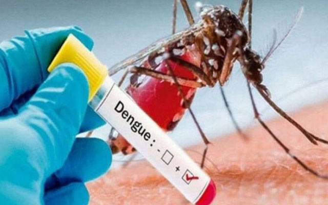 وفاقی دارالحکومت میں ڈینگی کے کیسز کی تعداد میں اضافہ 