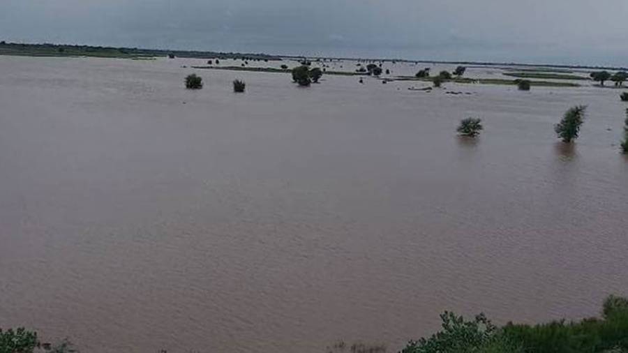 Sahiwal Flood, City42 